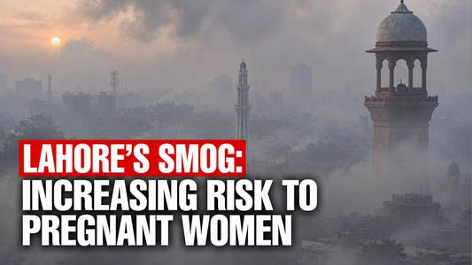 Pregnancy Under the Haze: Understanding the Maternal and Fetal Risks of Air Pollution