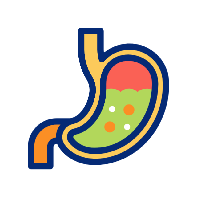 Gut Health